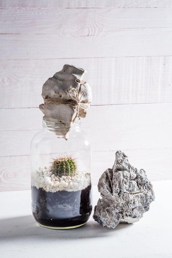 Comment les loutres géantes d'Amazonie contribuent-elles à la santé des écosystèmes fluviaux ?