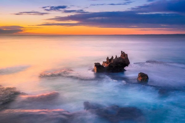 Plan de prévention des maladies pour un dragon barbu en captivité